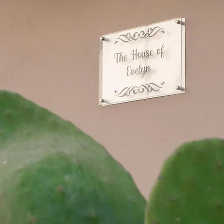 The House Of Evelyn